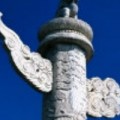 cnfly